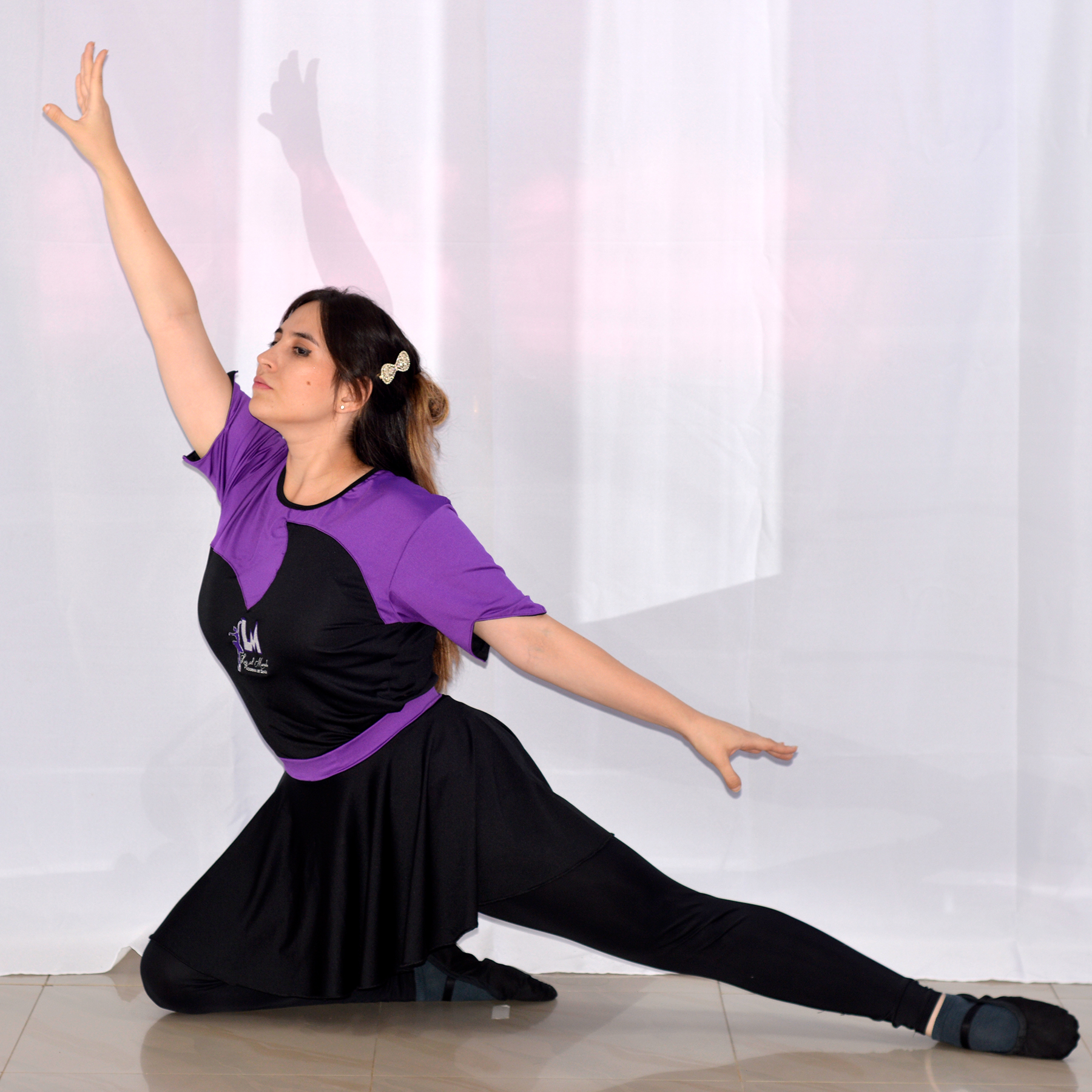 Galería de la academia