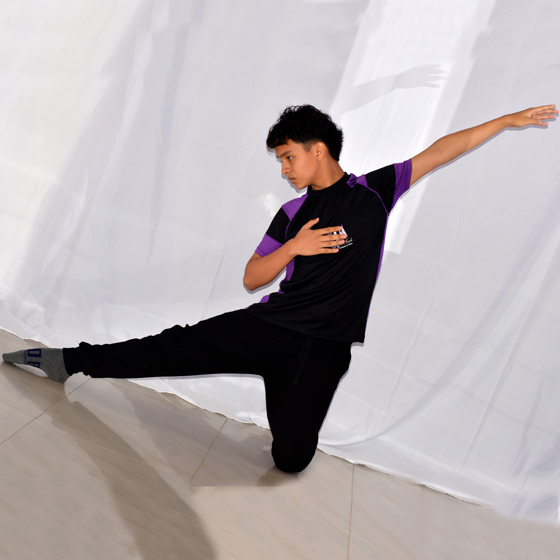 Galería de la academia