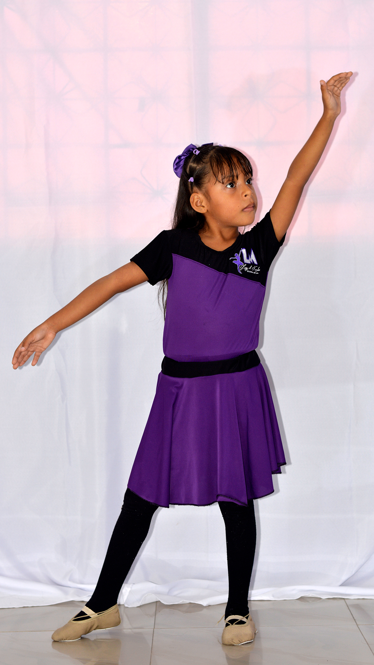 Galería de la academia